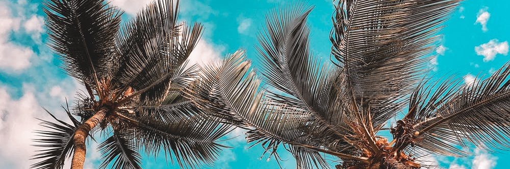 FaldiAlfa's profile banner image