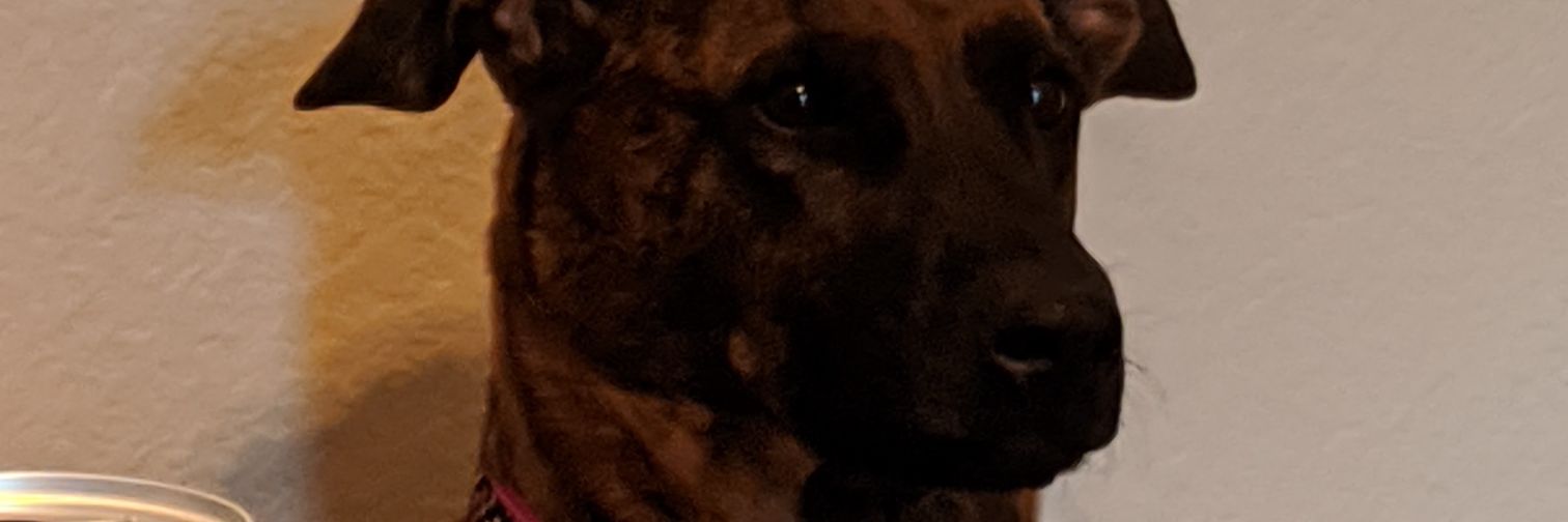 CourteyQ's profile banner image