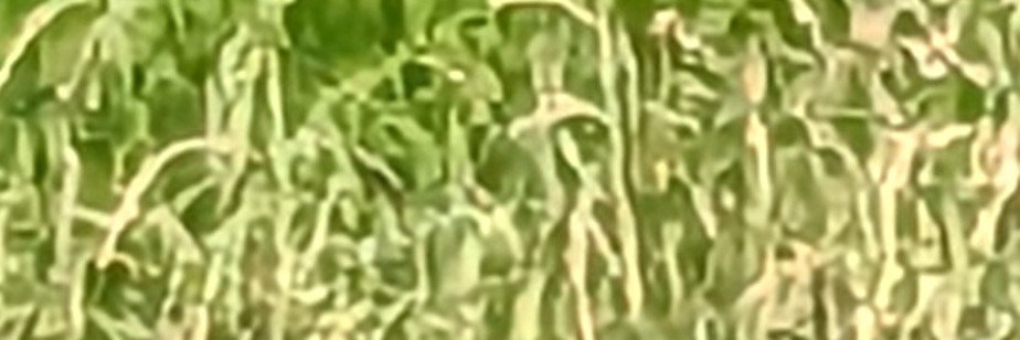kairy3699's profile banner image