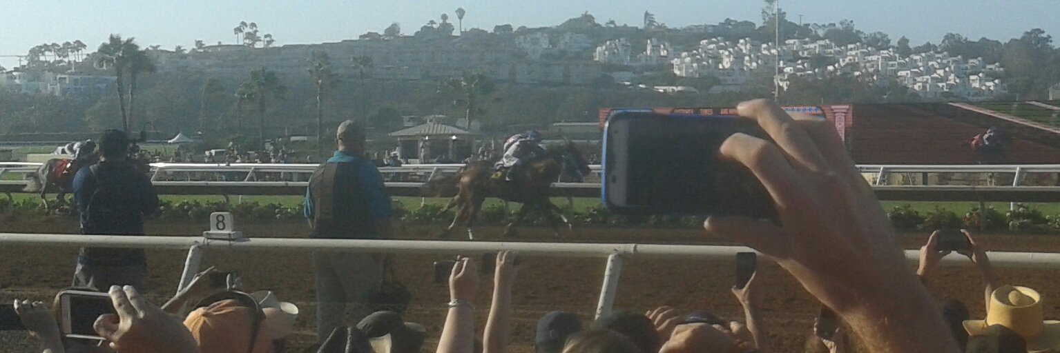 Stephen Alicknovic banner