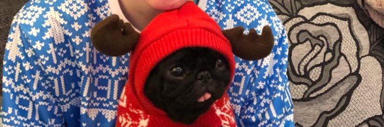 PrematureQuiche's profile banner image