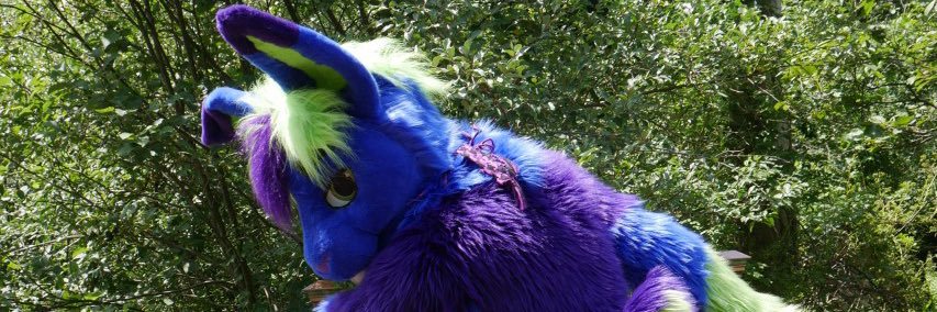 Nidoflow banner