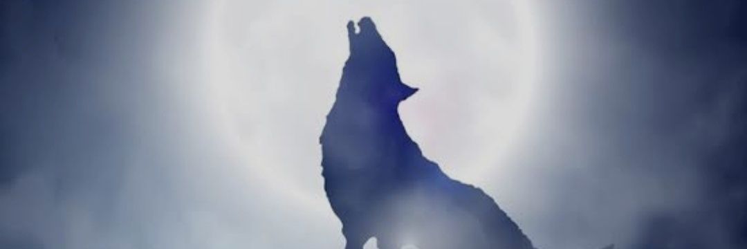 TURAN/𐱅𐰼𐰇𐰰🇹🇷 banner