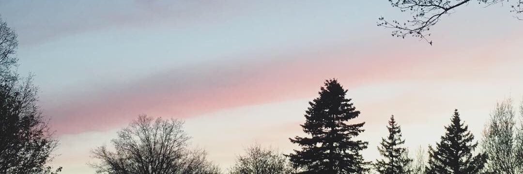 𝐏𝐎𝐄𝐒𝐁𝐘 banner