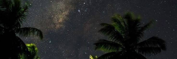 nike banner