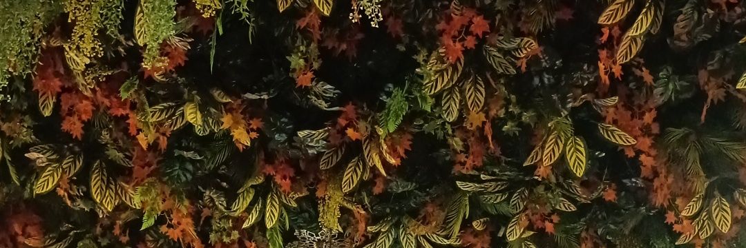 shaggyscg's profile banner image