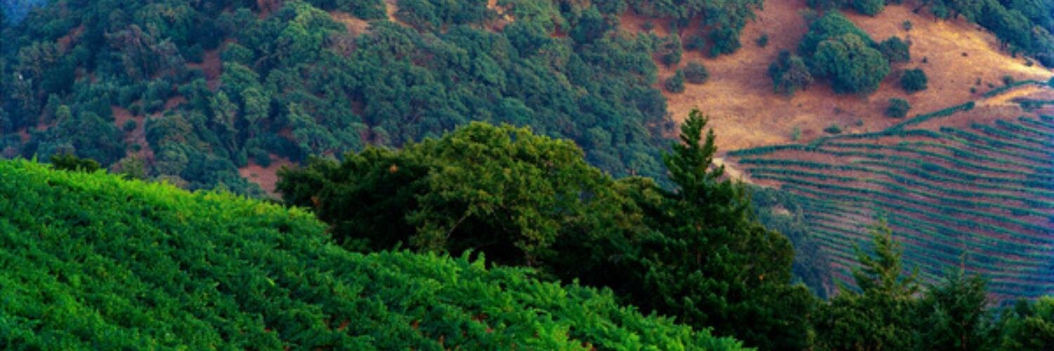 gerrycohen's profile banner image