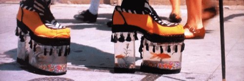 Kurt Fischer banner