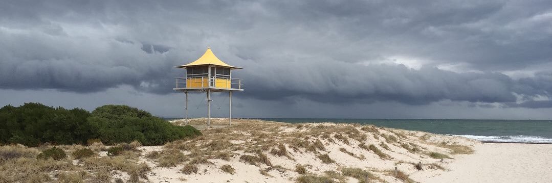 Carla Wiese-Smith banner