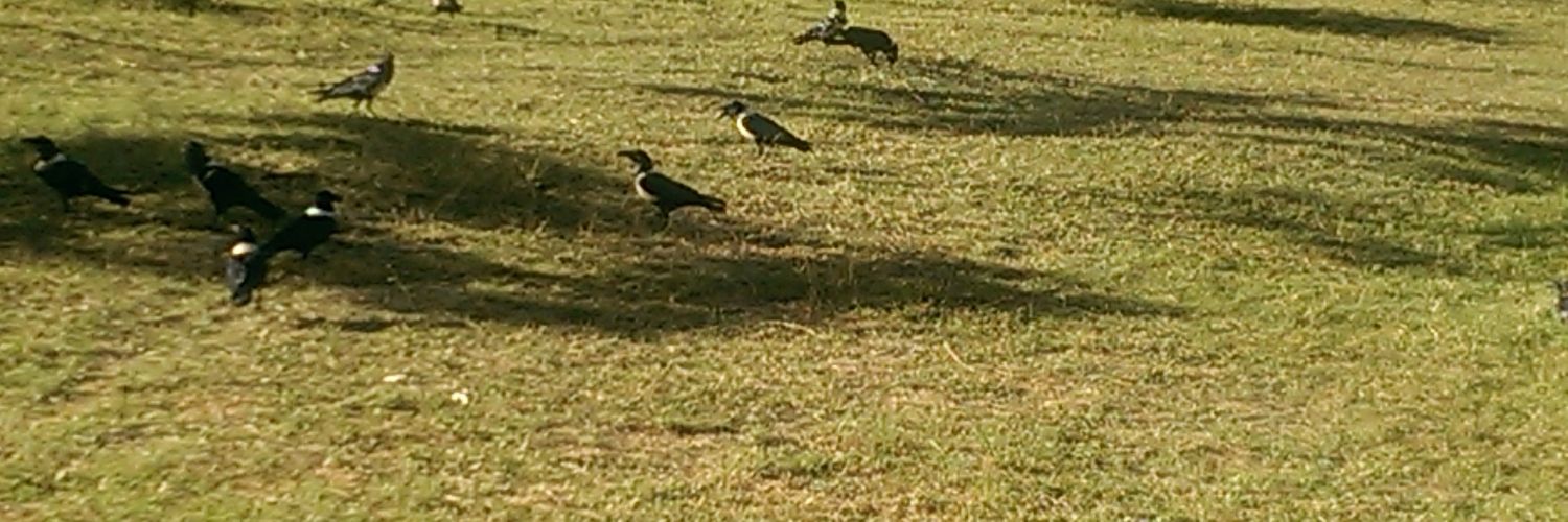 Dr. Desmond Tutu banner