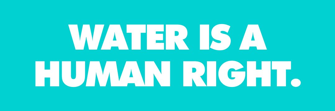 The Water Warrior Initiative's banner
