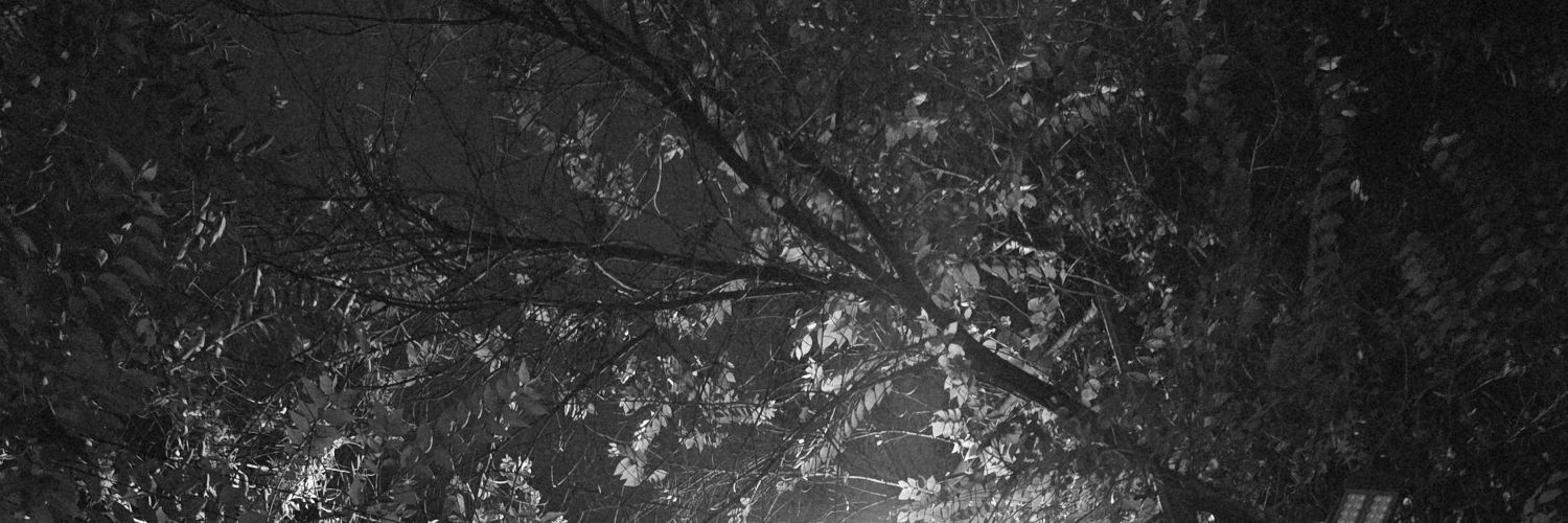 JeksenAMQ's profile banner image