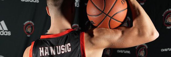 AmarHanusic Profile Banner