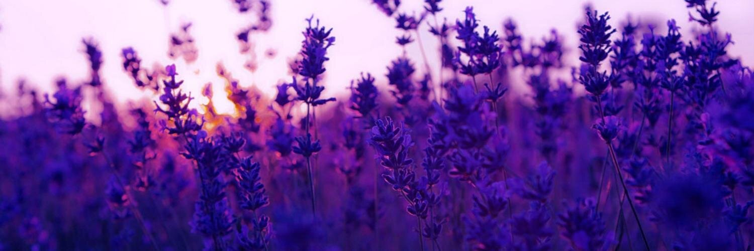 ashez14's profile banner image