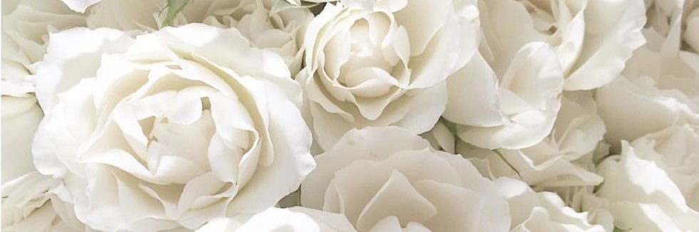 beckyrobe's profile banner image