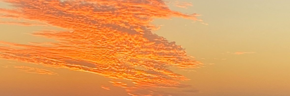 Alison Battisson banner