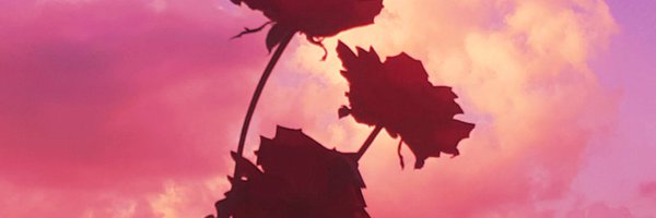 rikonekt Profile Banner