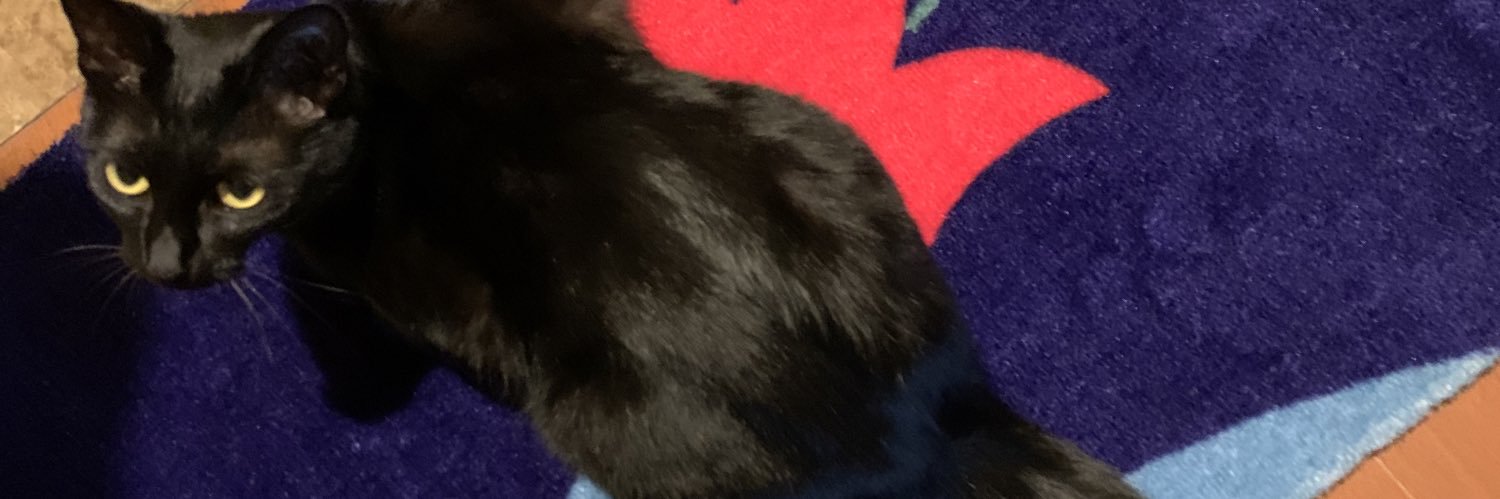 上田ケンジ banner