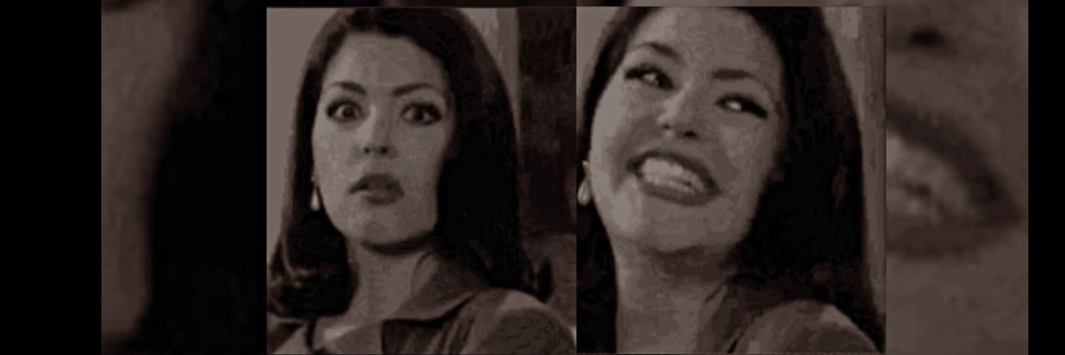 solcitofelis's profile banner image