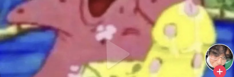 gatorbait__'s profile banner image