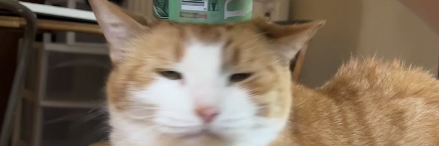 YOIMJOEY's profile banner image