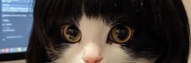 CiWo🕊️ banner