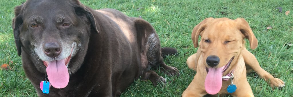 amanda_mHess's profile banner image