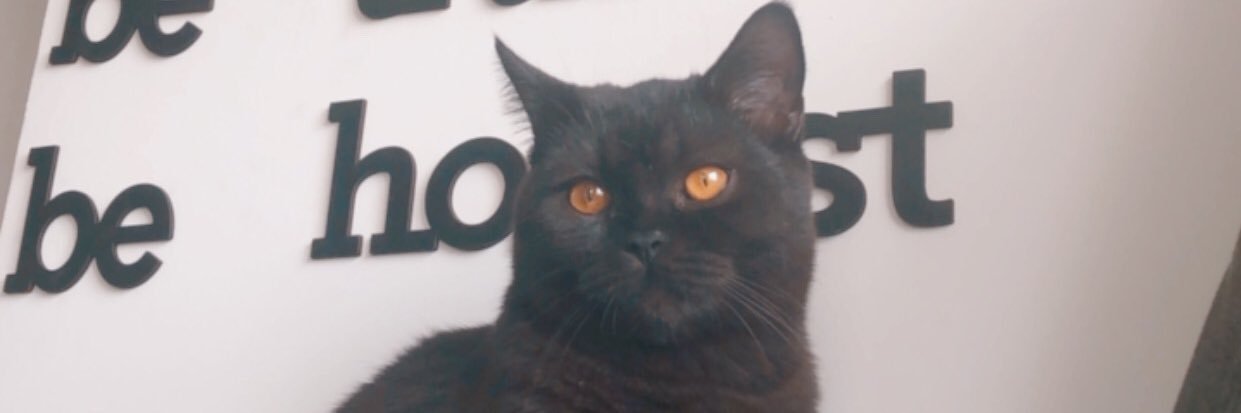 ElwAnk's profile banner image