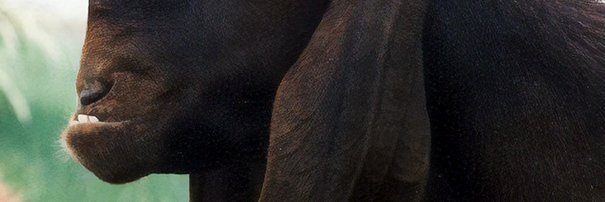 101 banner