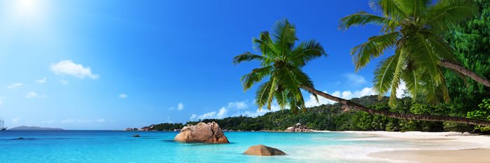 Bahamas Press's banner