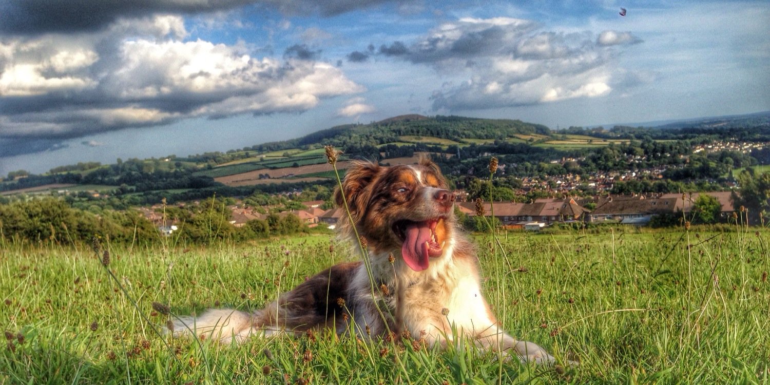 BenBowker's profile banner image