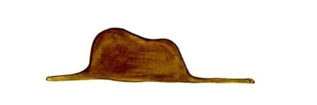 Sandrslash's profile banner image