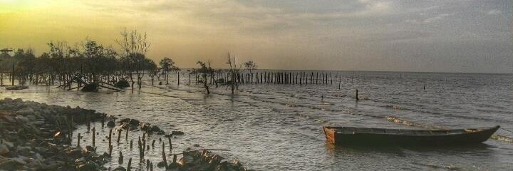 Sesri Engla S banner