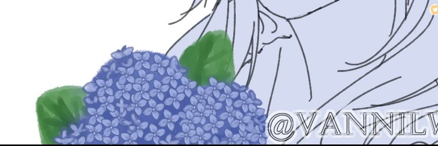 vannilwi banner