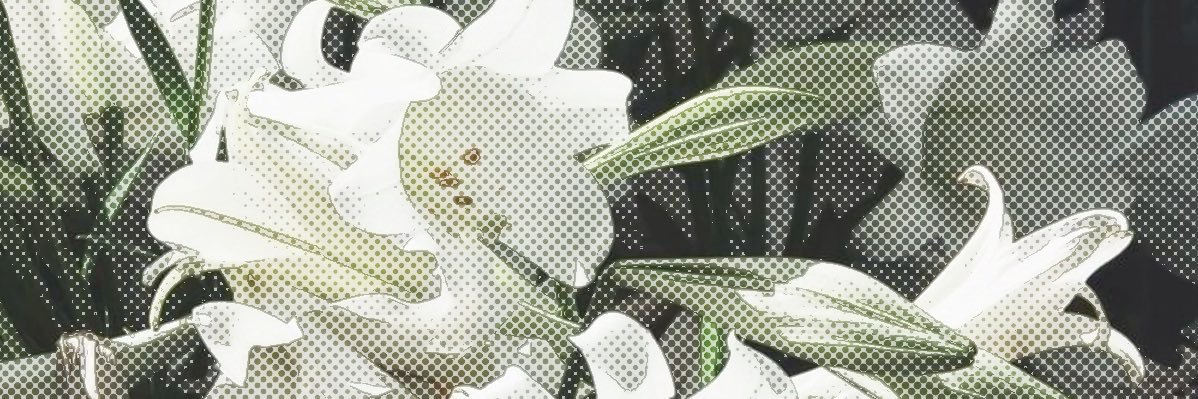 星 ⭐️ banner
