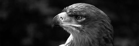 benjaminsthink's profile banner image