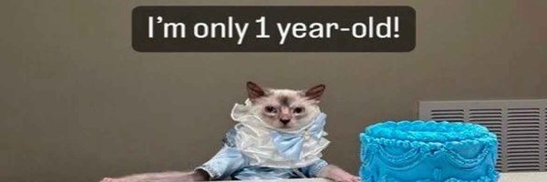 jimmystunes Profile Banner