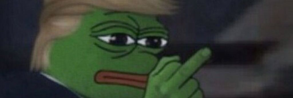 Zerg 🇺🇲 banner