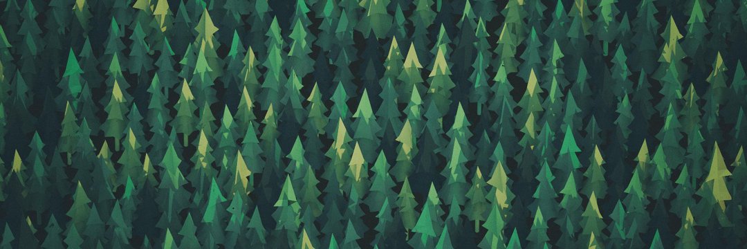 zeroasel's profile banner image