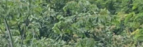 ramnetvp's profile banner image