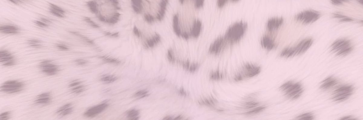 em🐰(-13.4kg/19kg) banner