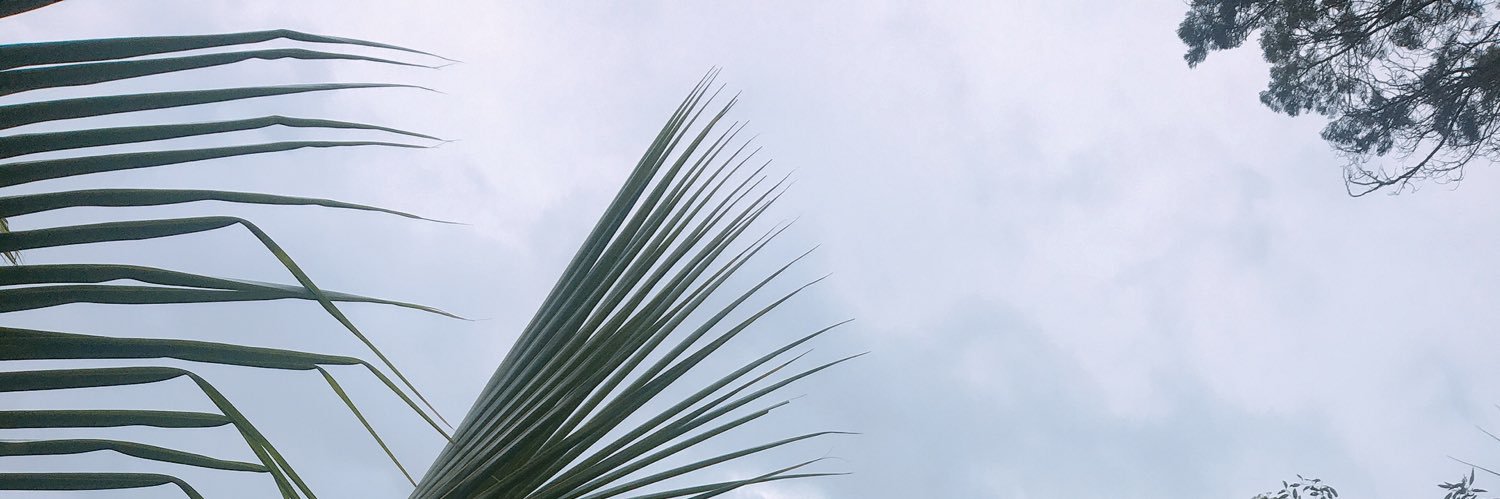 emilria's profile banner image