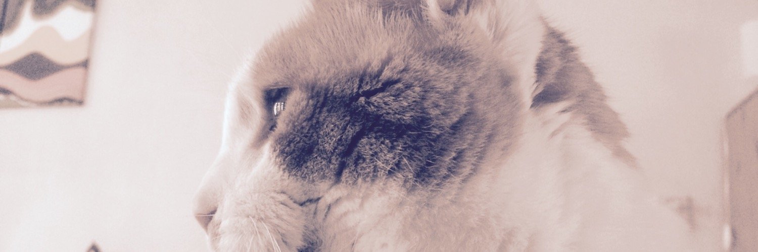 kat_Boris's profile banner image