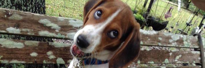 MollyABlock's profile banner image