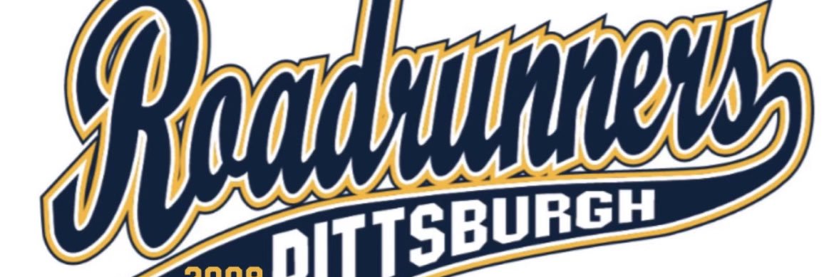 Pittsburgh Lady Roadrunners 2008's banner