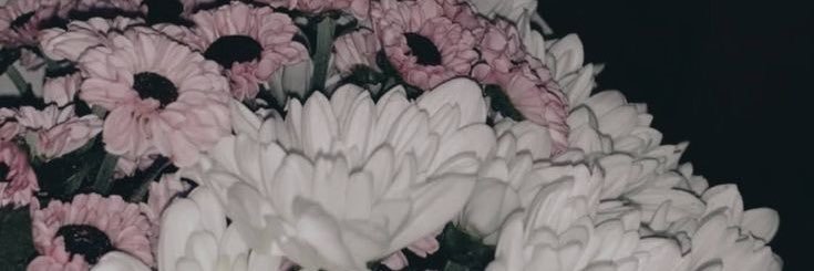 creamtny's profile banner image