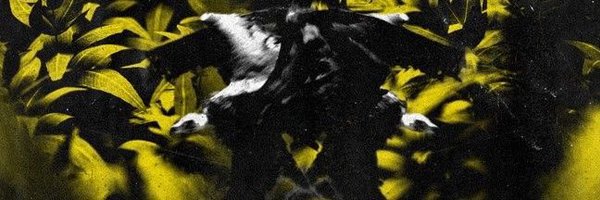 PILOTSRP Profile Banner