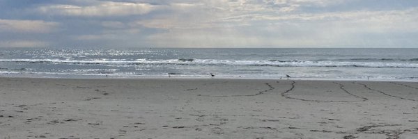 brentorr Profile Banner