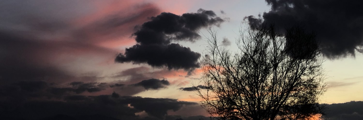blazenne's profile banner image