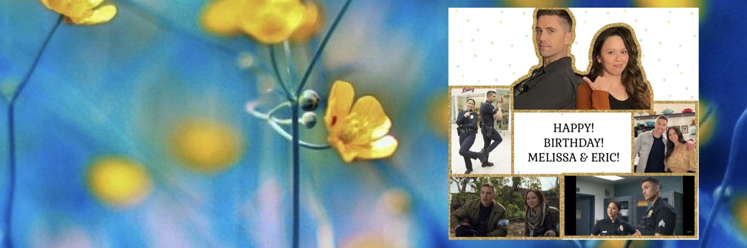 TheROOKIEFiesta's profile banner image
